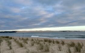 T1bis dans les dunes du Cap Ferret